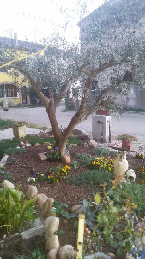 B&B Peschi In Fiore Valeggio sul Mincio Kültér fotó